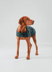 Forest Green Quilted Dog Jacket