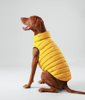 Reversible Dog Puffer Jacket - Forest Green & Gold