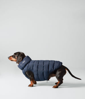 Wende-Pufferjacke für Hunde – Marineblau und Beere