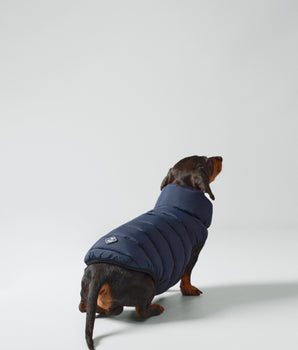 Reversible Dog Puffer Jacket - Navy & Berry