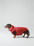 Reversible Dog Puffer Jacket - Navy & Berry