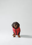 Reversible Dog Puffer Jacket - Navy & Berry