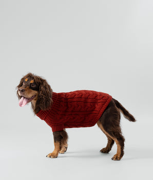 Cable Knit Pullover Dog Jumper - Brick