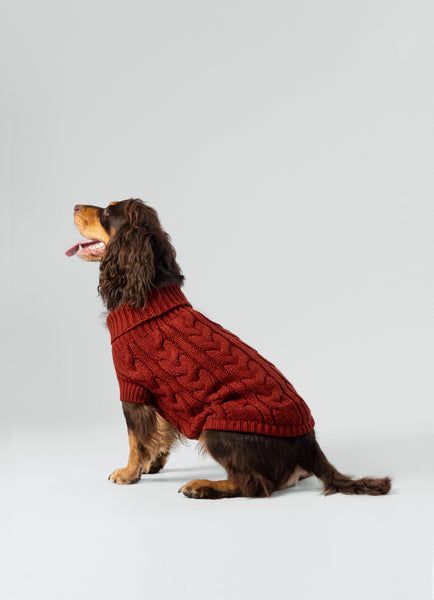 Cable Knit Pullover Dog Jumper Brick Hugo Hudson London