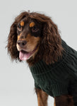 Cable Knit Pullover Dog Jumper - Green