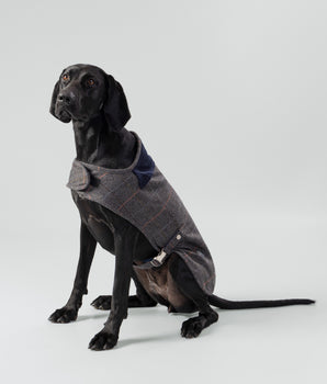 Grau karierte Fischgräten-Tweed-Hundejacke