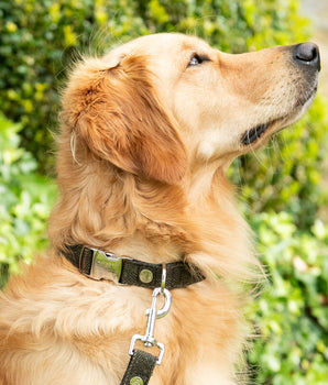Dark Green Checked Herringbone Tweed Dog Collar