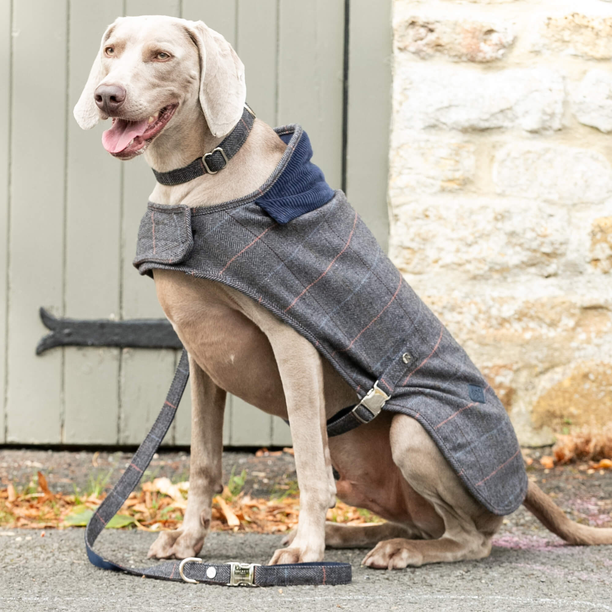 Grey Hackett Tweed Dog Lead