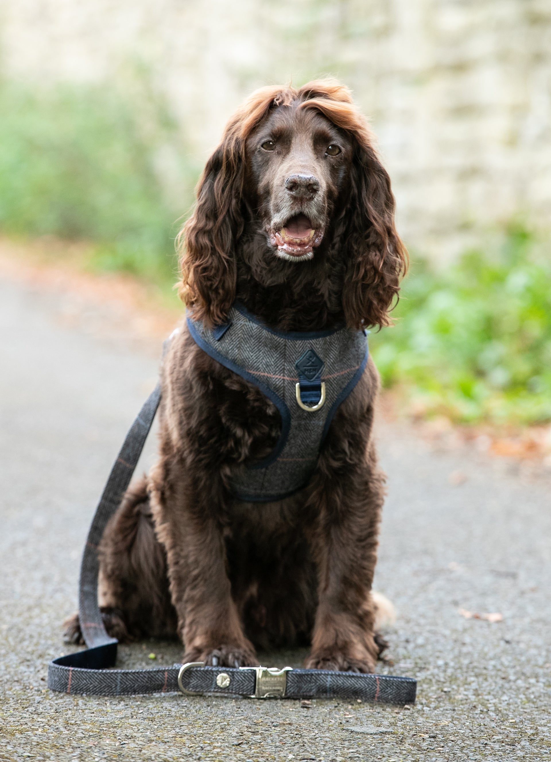 Hacket R Dopg Grey Checked Herringbone Tweed Dog Lead – Hugo & Hudson London