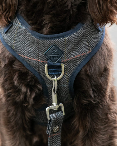 Grey Checked Herringbone Tweed Dog Harness