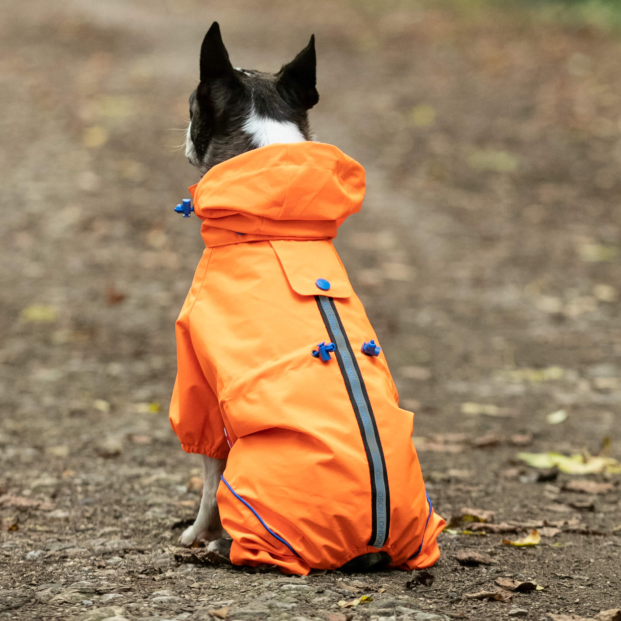 Orange Reflective Hooded Dog Overalls