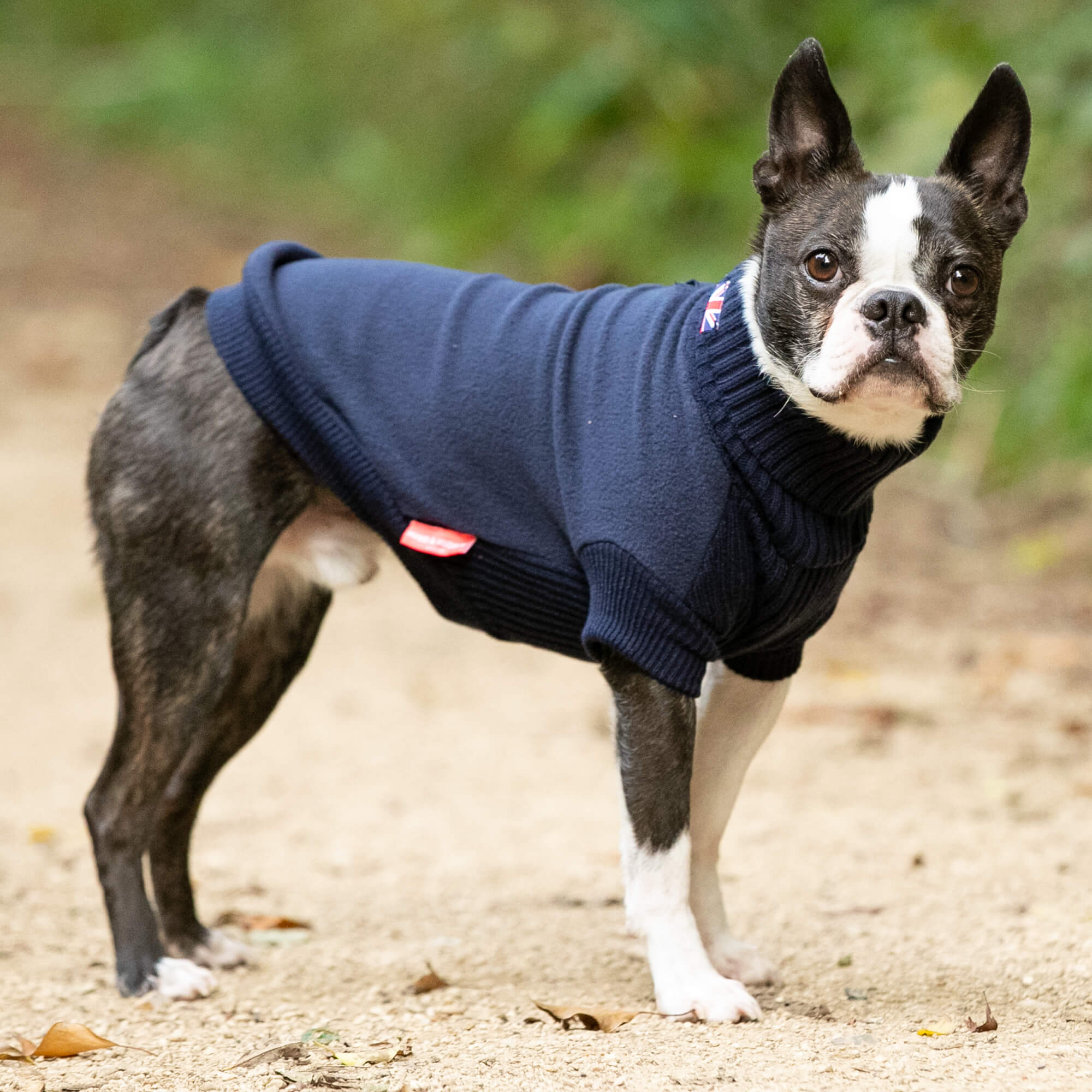 Navy Fleece and Knit Dog Jumper