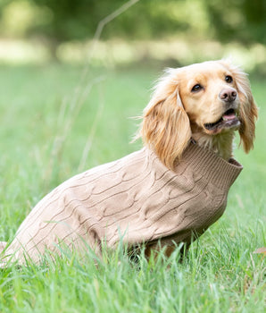 Knitted Dog Jumper - Camel Lifestyle