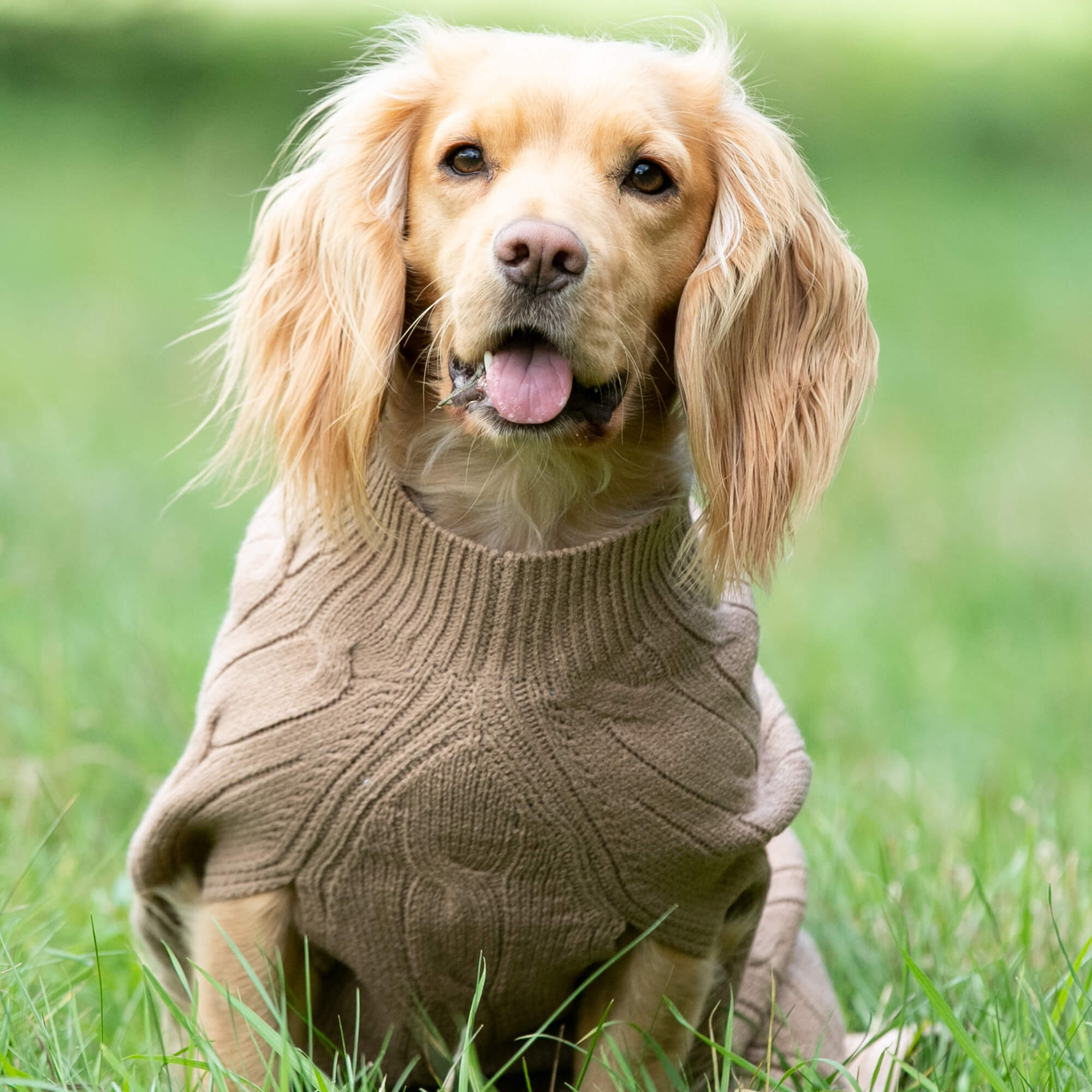 Camel Knitted Dog Jumper