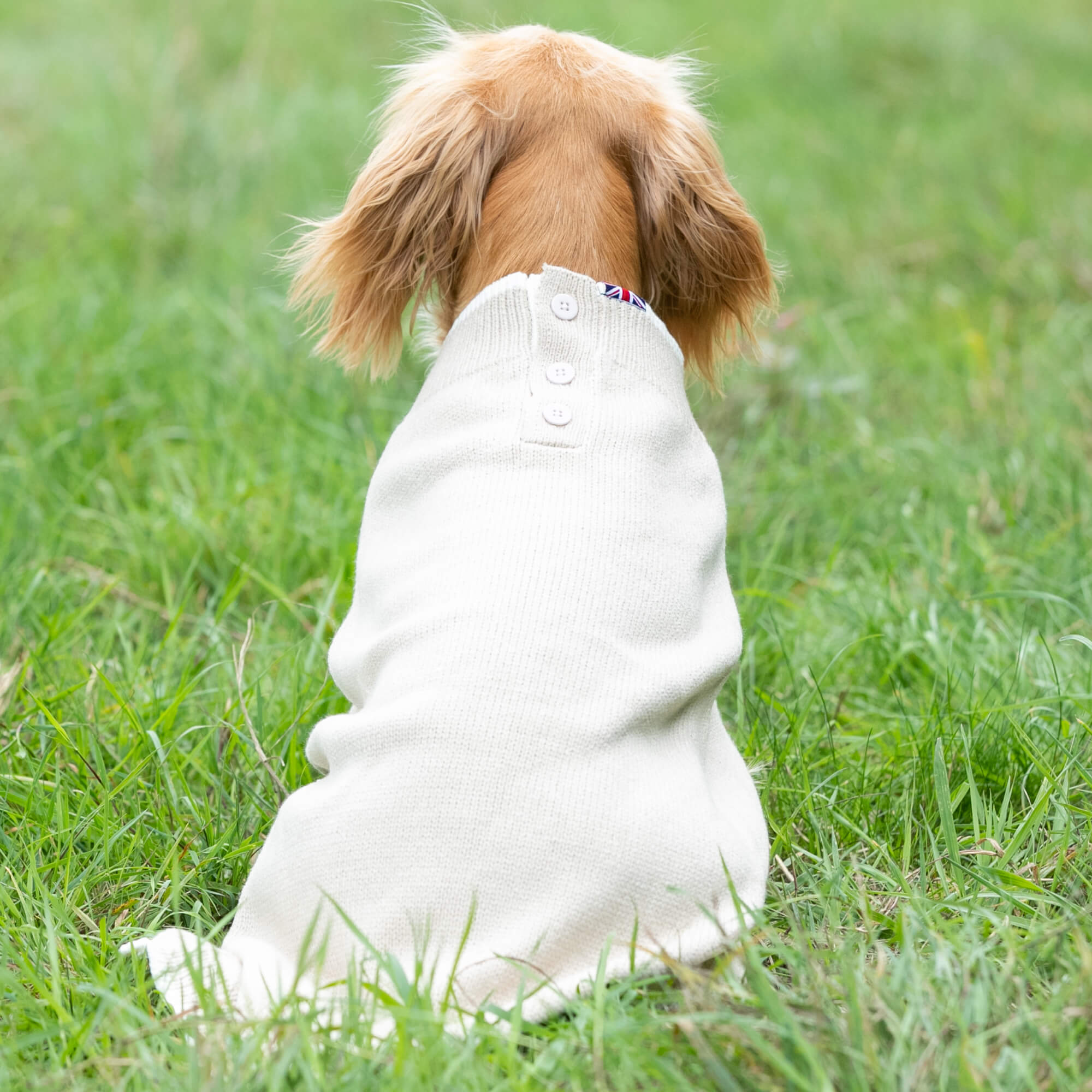 Beige Knitted Dog Jumper