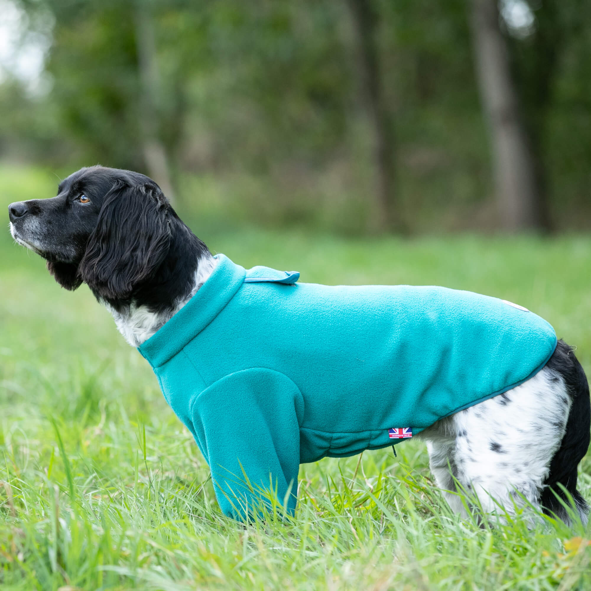 Outdoor Fleece Dog Jacket - Teal Green