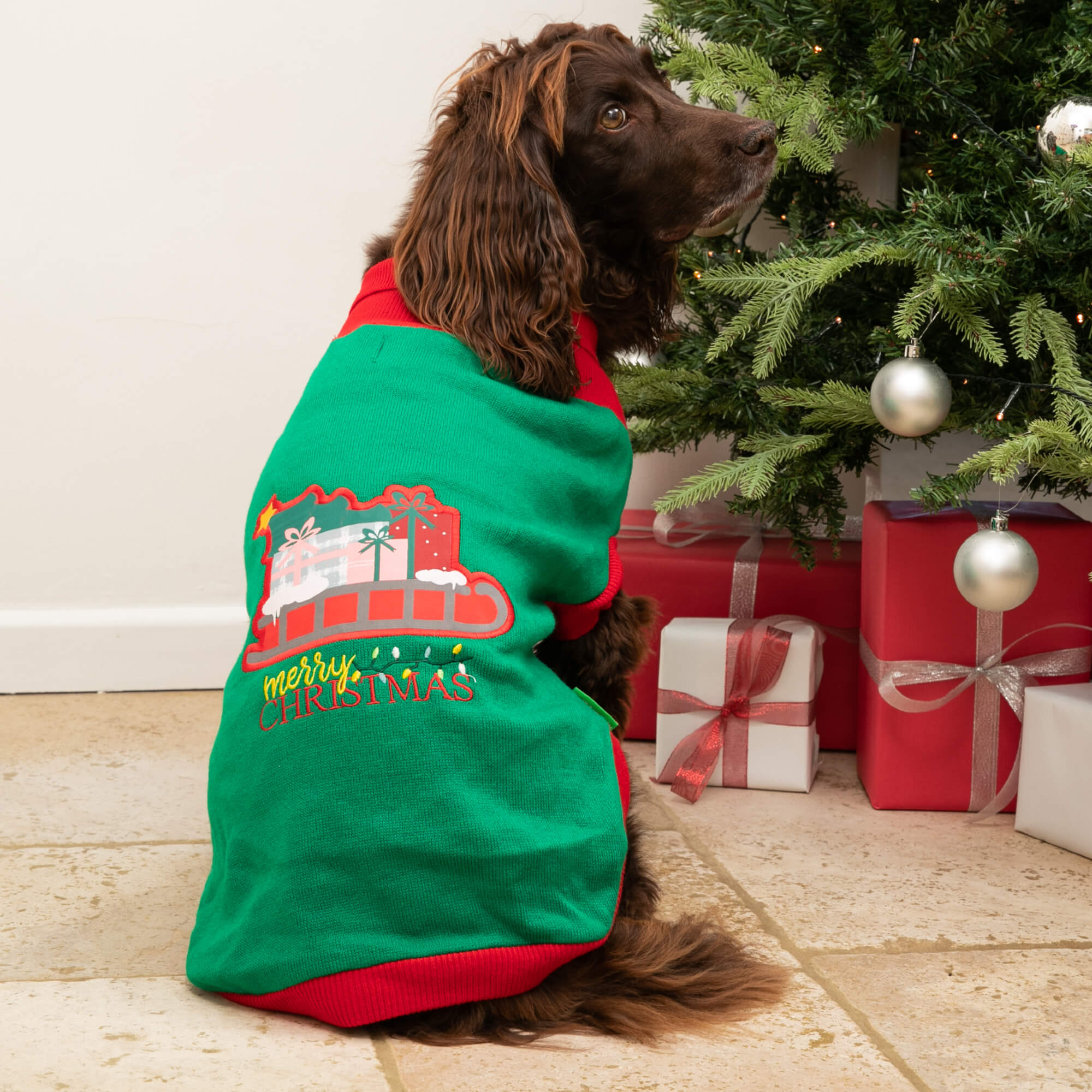 Santa's Sleigh Christmas Jumper