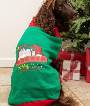 Christmas Dog Jumper - Santa's Sleigh Lifestyle