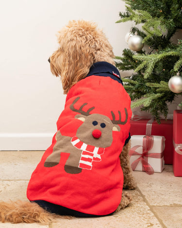 Christmas Dog Jumper - Reindeer Lifestyle