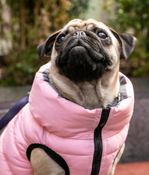 Reversible Dog Puffer Jacket - Light Pink and Gray Lifestyle