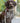 Rope and Leather Dog Lead - Burgundy Lifestyle