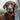 Rope and Suede Leather Dog Collar - Brown Lifestyle