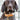 Flat Rope and Leather Dog Collar - Tan Lifestyle