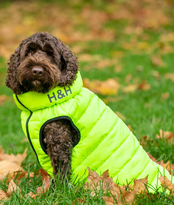 Luxury Dog Apparel and Accessories Hugo & Hudson London