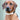 Flat Rope and Leather Dog Collar - Black Lifestyle