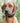 Padded Leather Dog Collar - Black and Brown Lifestyle