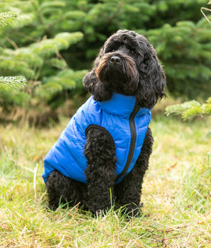 Reversible Dog Puffer Jacket - Blue and Navy Lifestyle