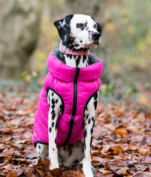 Reversible Dog Puffer Jacket - Pink and Grey Lifestyle