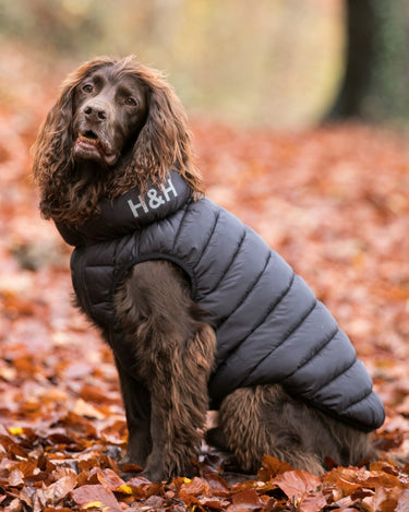 Reversible Dog Puffer Jacket - Black and Grey Lifestyle