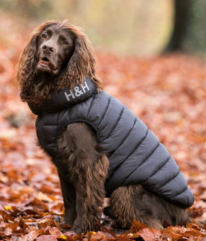 Reversible Dog Puffer Jacket - Black and Gray Lifestyle