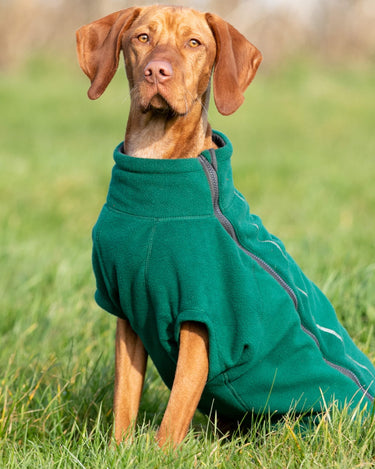 Cosy Warm Fleece Dog Jacket - Forest Green Lifestyle