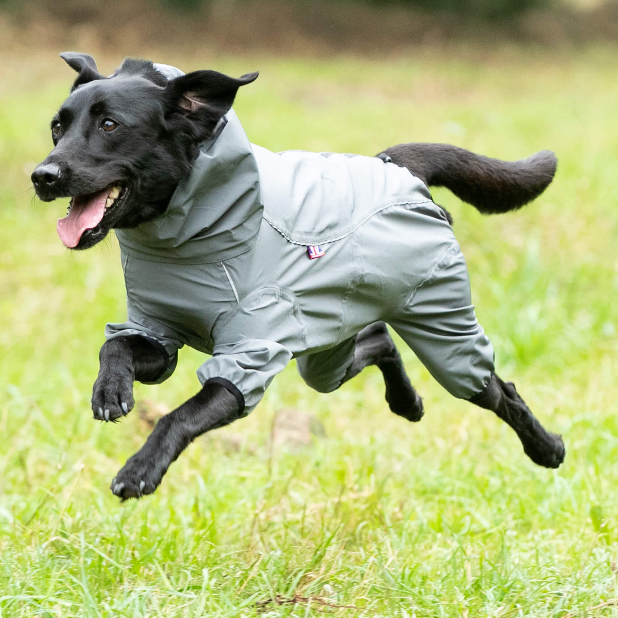 Grey Protective Overalls