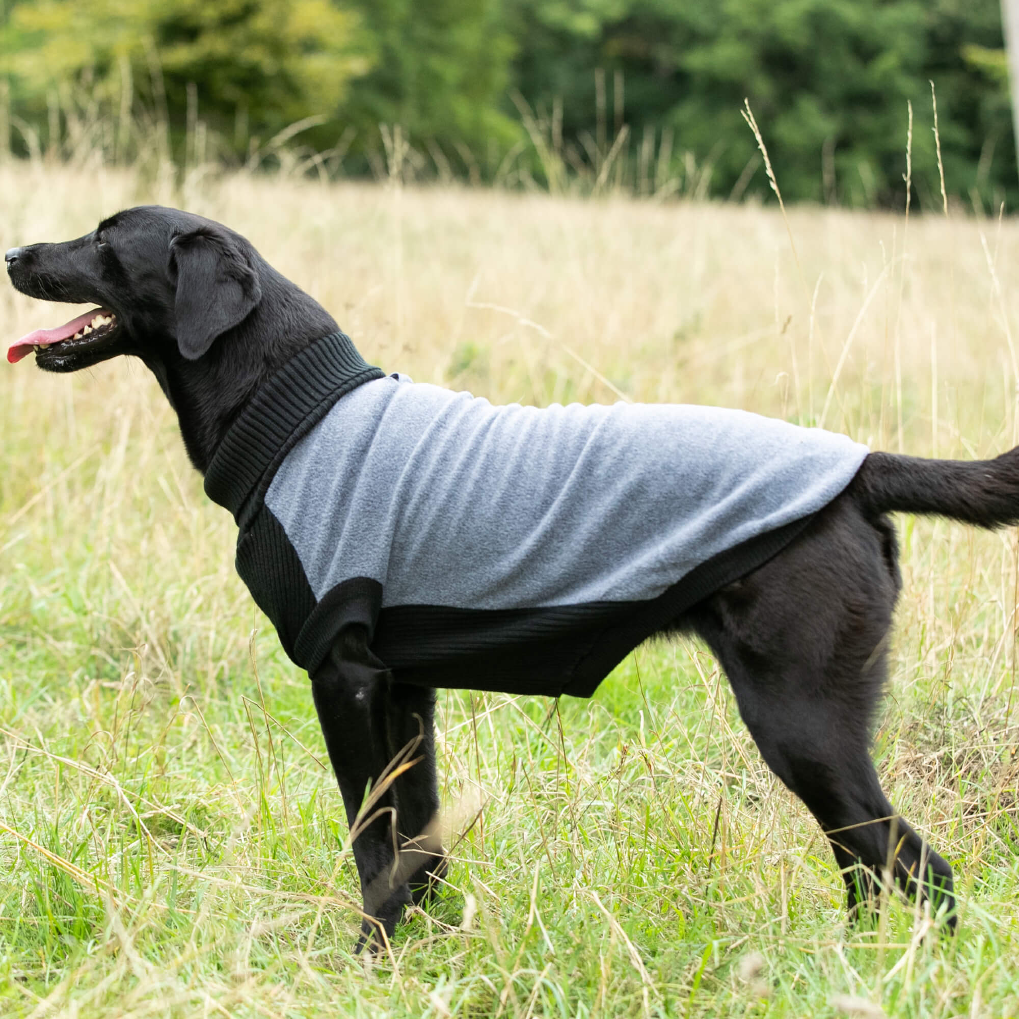 Grey Fleece and Knit Dog Jumper