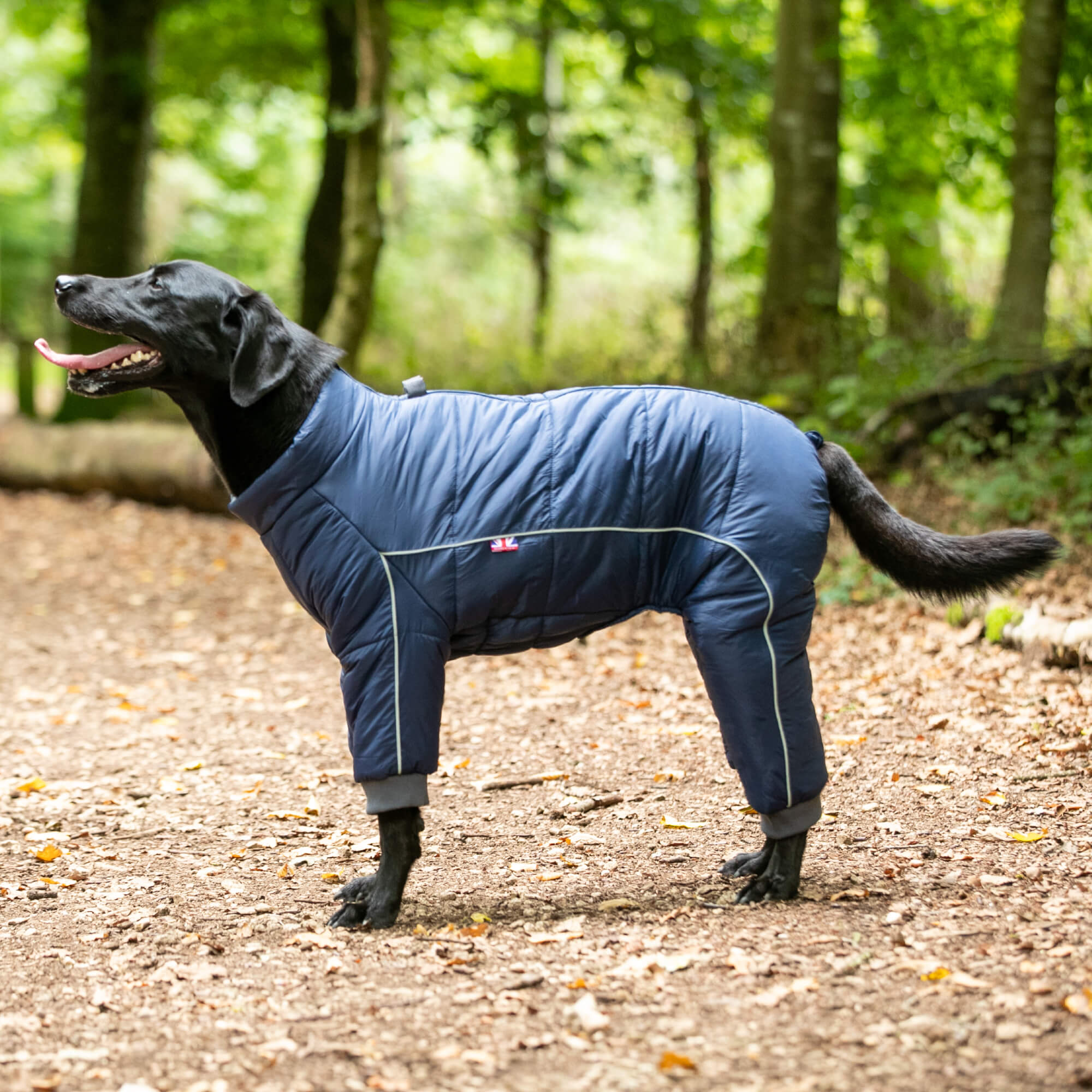 Outdoor Winter Dog Suit