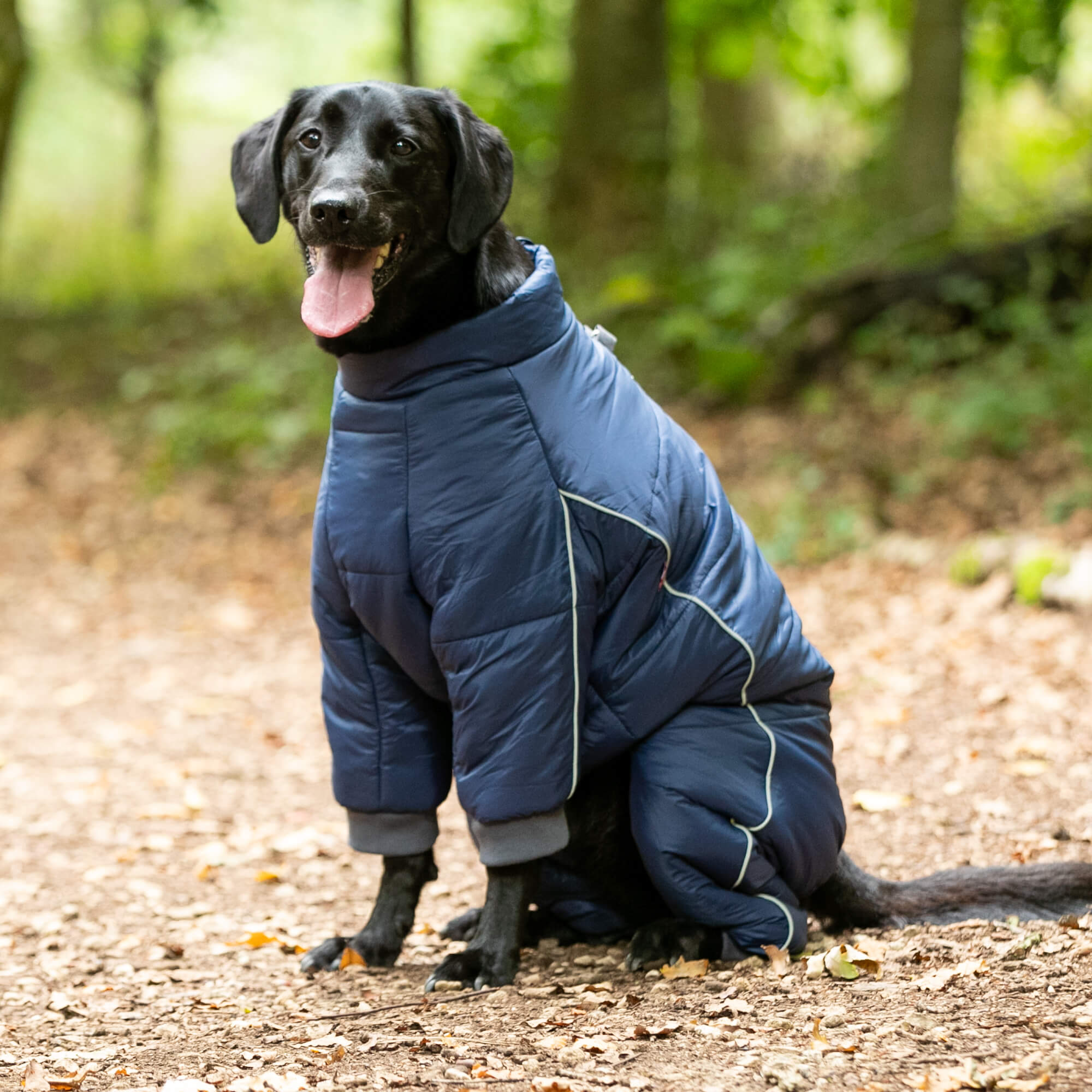 Winter Coats Best Raincoat For Dogs Winter Jackets Best Waterproof