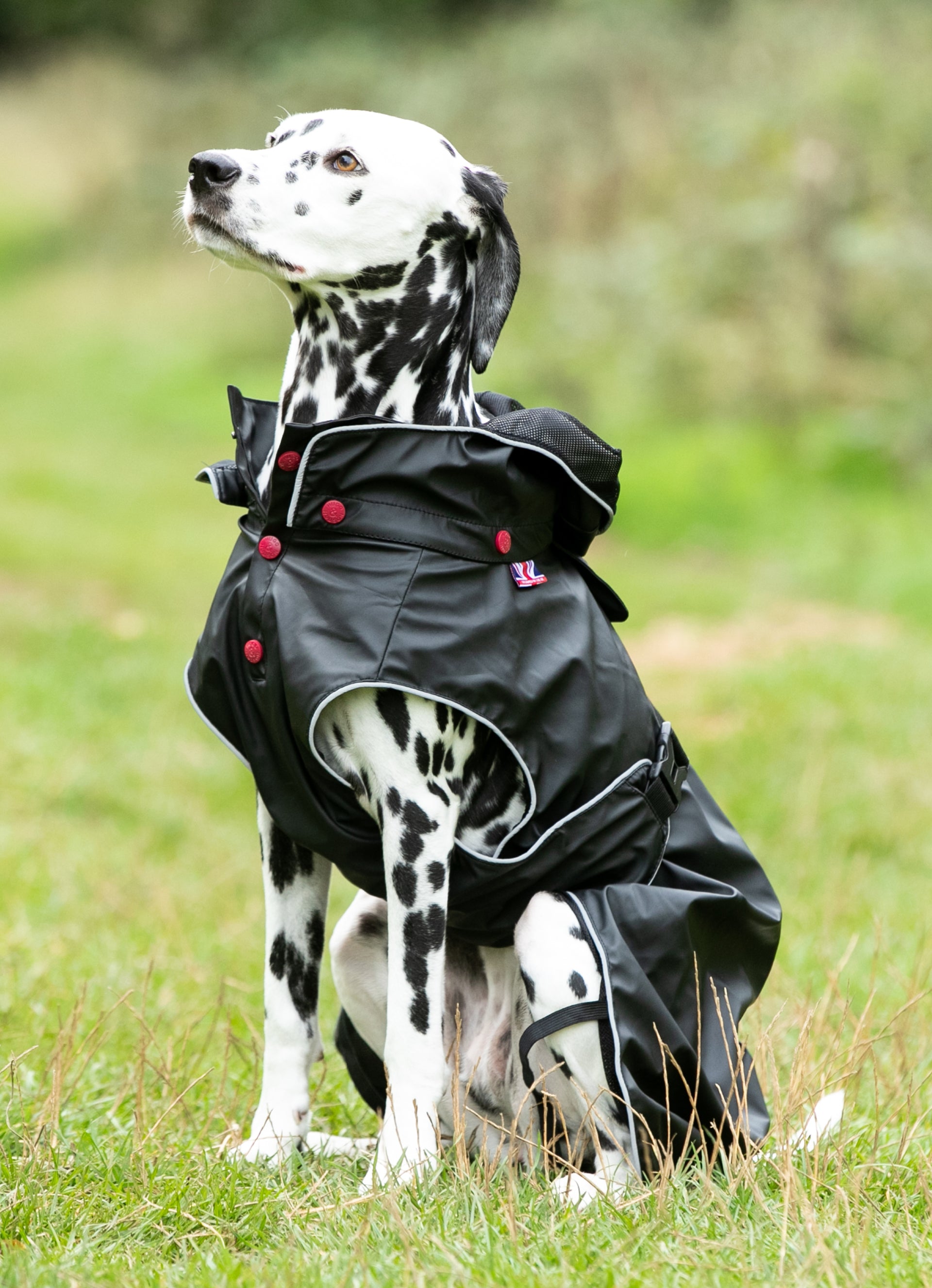 Allweather Dog Raincoat Black Hugo & Hudson London
