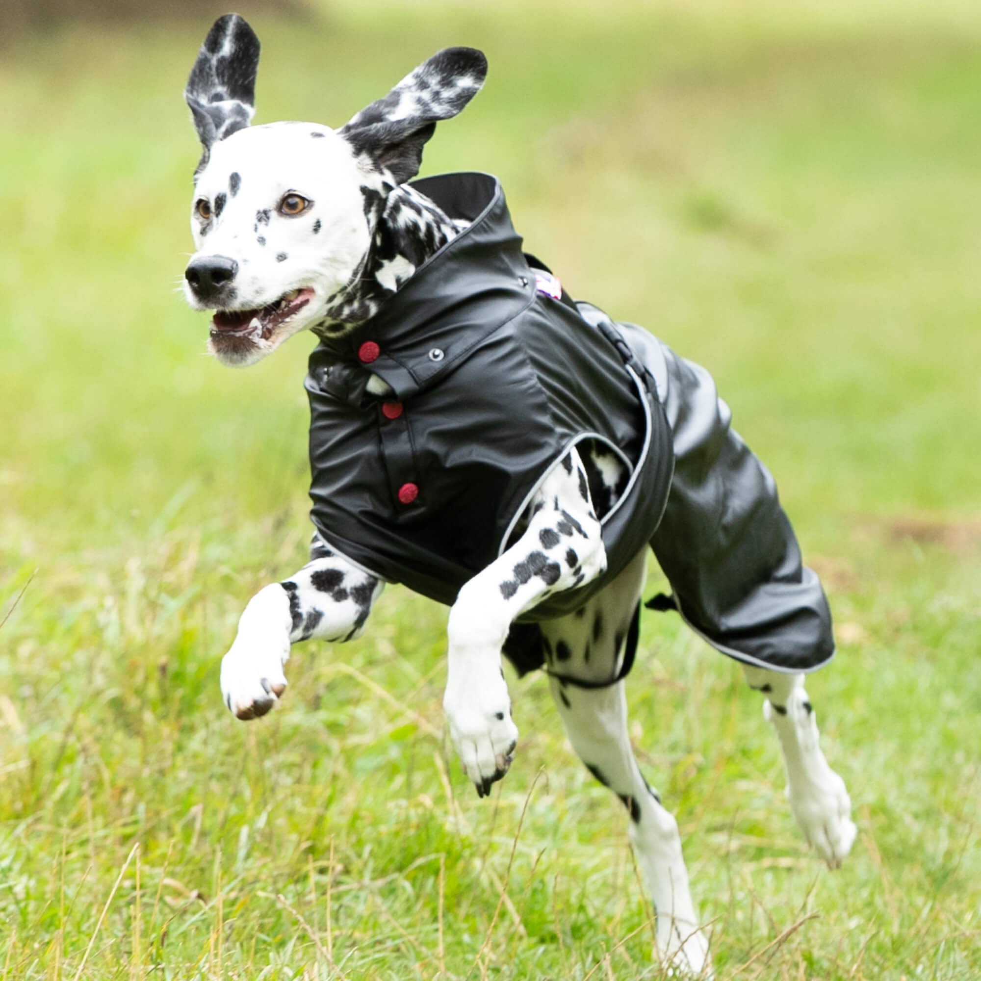 Allweather Dog Raincoat Yellow Hugo & Hudson London