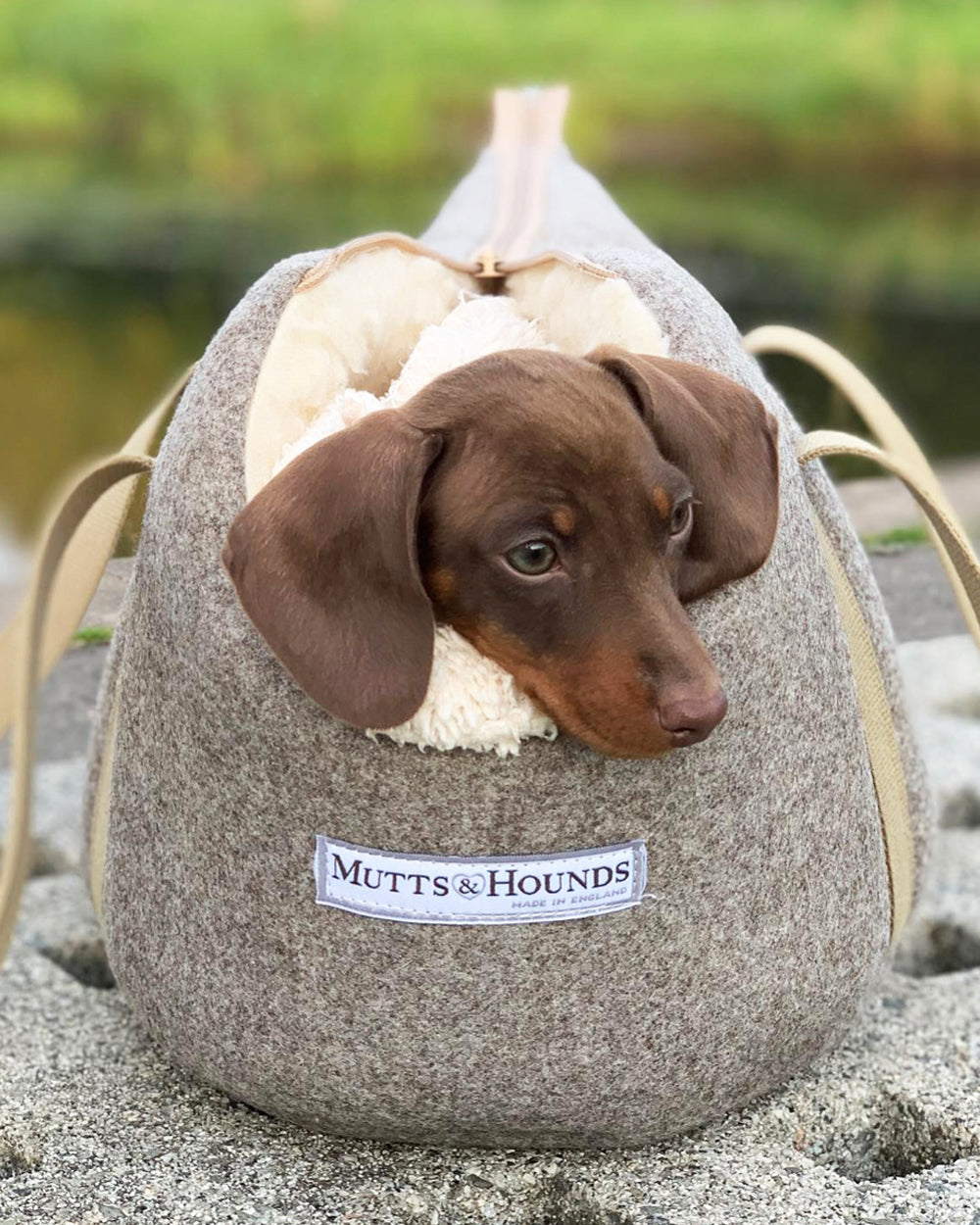 Mutts and hounds dog carrier sales