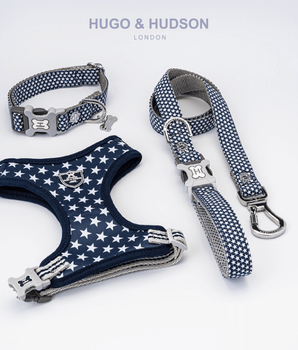 Matching Collar, Lead and Harness Set - Navy Star