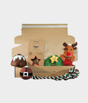 Christmas Gift Box For Dogs