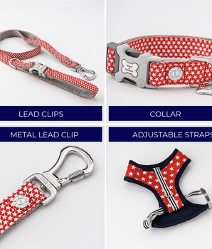 Matching Collar, Lead and Harness Set - Red Star