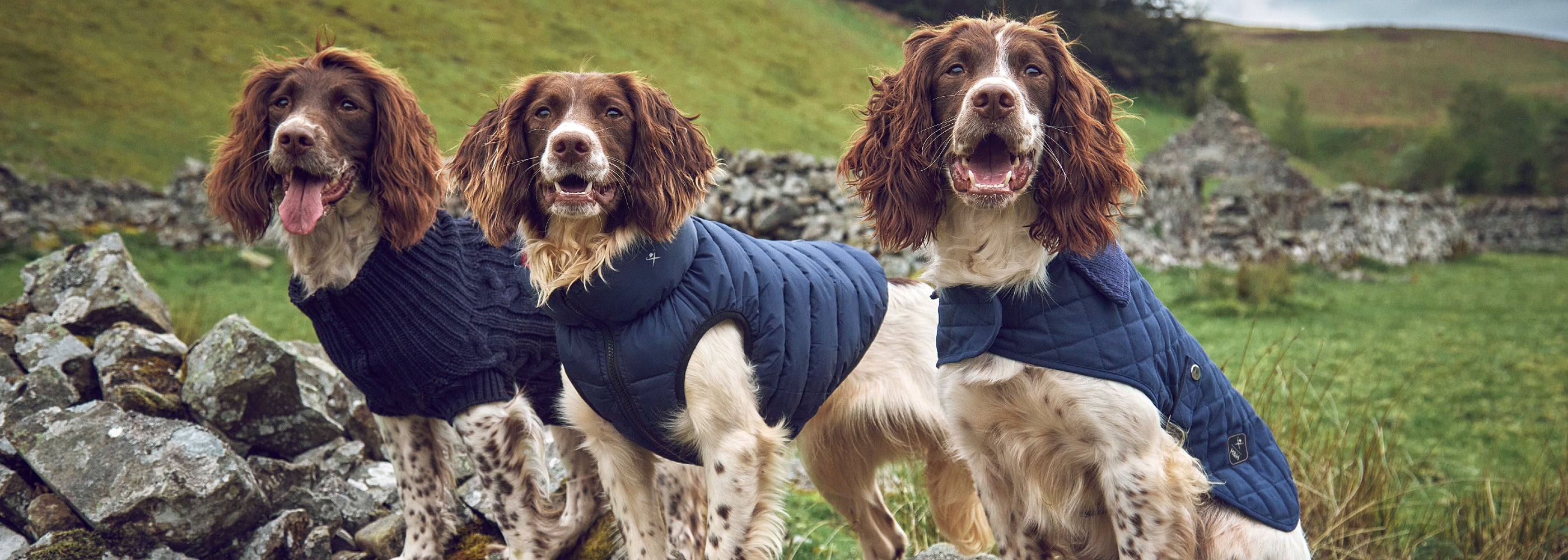 Hackett Hugo & Hudson London