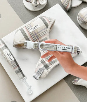 Cocopup London Oxford Plaid Collar