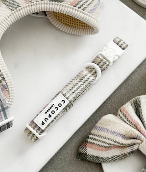 Cocopup London Oxford Plaid Collar