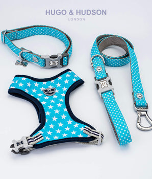 Matching Collar, Lead and Harness Set - Turquoise Star