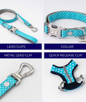 Matching Collar, Lead and Harness Set - Turquoise Star